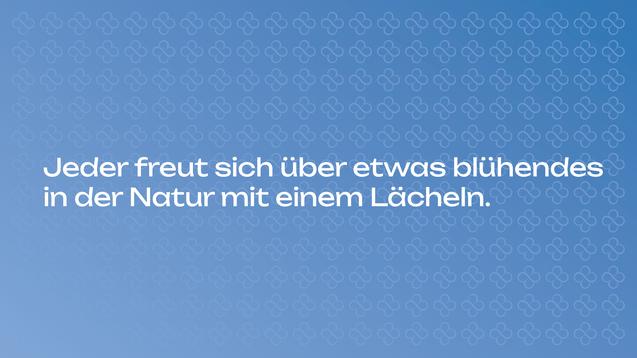 Text auf blauem Hintergrund: „Jeder freut sich über etwas blühendes in der Natur mit einem Lächeln.“ Blumenmuster im Hintergrund.